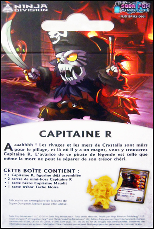 Super Dungeon Explore Capitaine R
